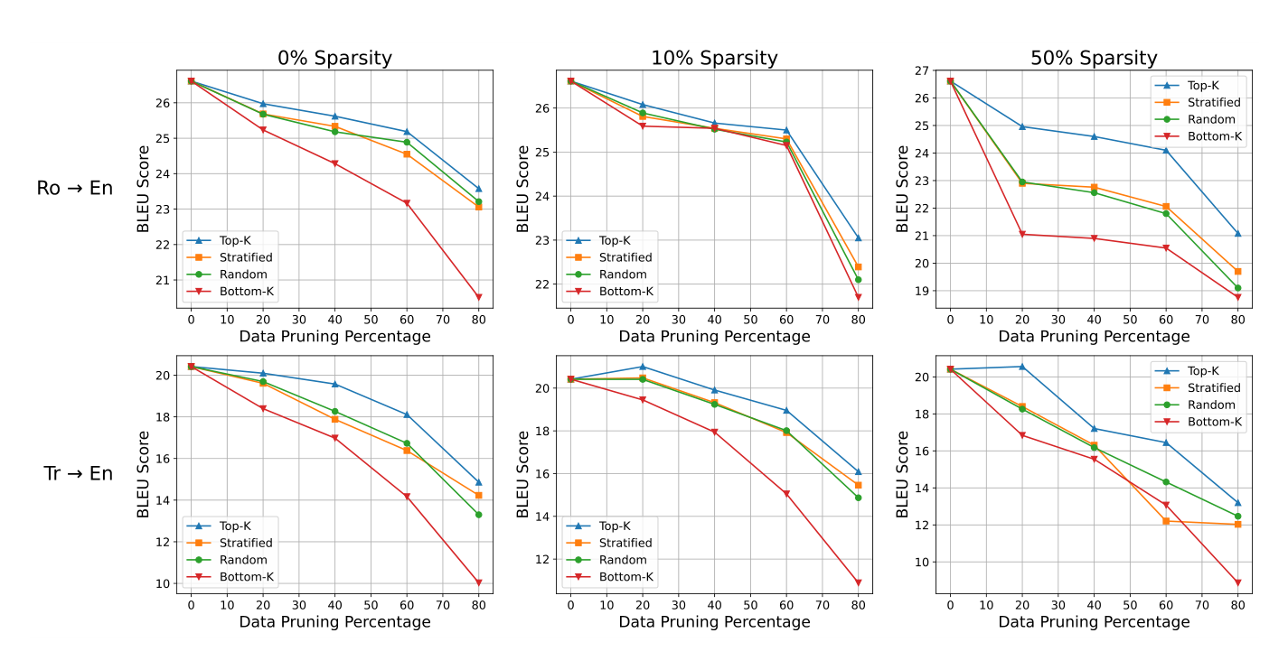 BLEU across data pruning strategies and model sparsity levels.
